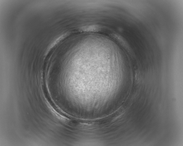 X0000079340725200612011933