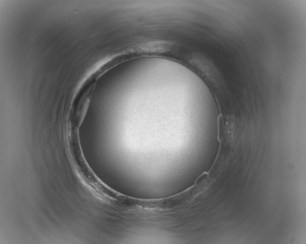 X0000079340726200612011933