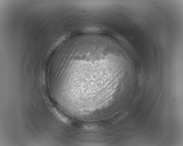 X0000079340729200612011933