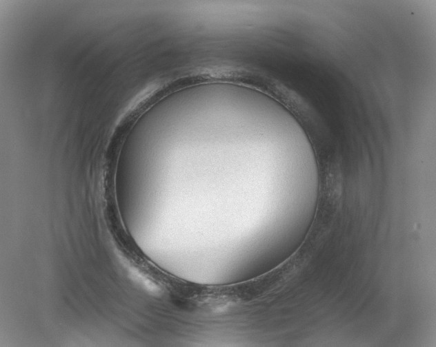 X0000079340730200612011933