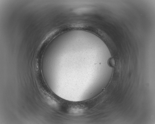 X0000079340731200612011933