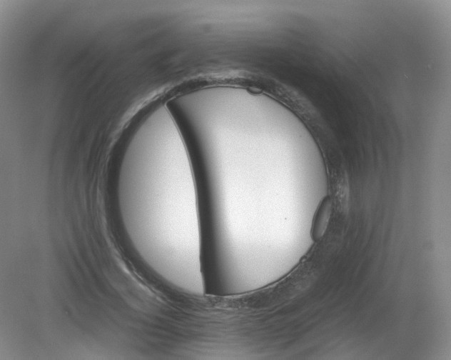 X0000079340732200612011933