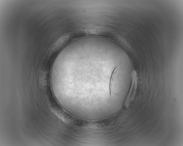 X0000079340738200612011933