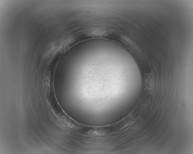 X0000079340739200612011933