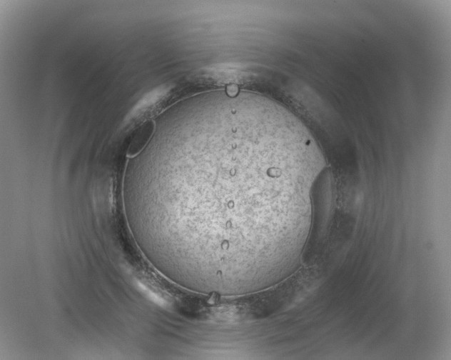 X0000079340740200612011933