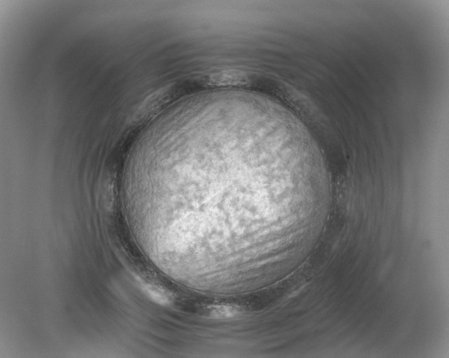 X0000079340741200612011933