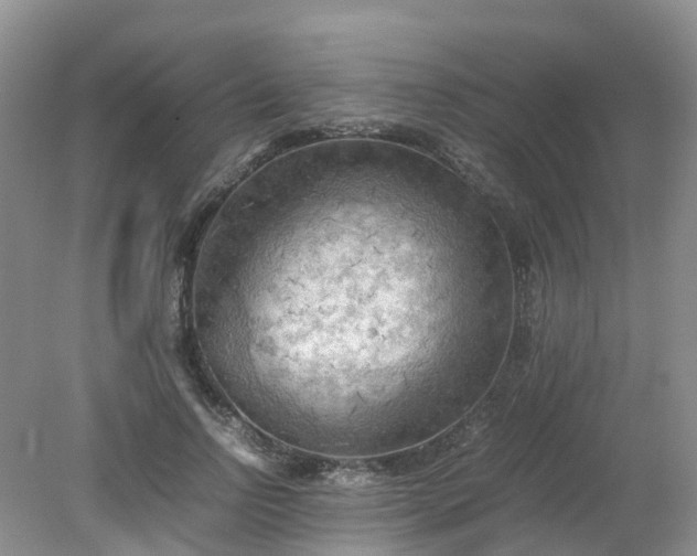 X0000079340742200612011933