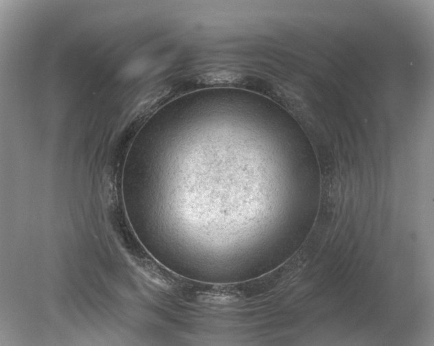 X0000079340743200612011933