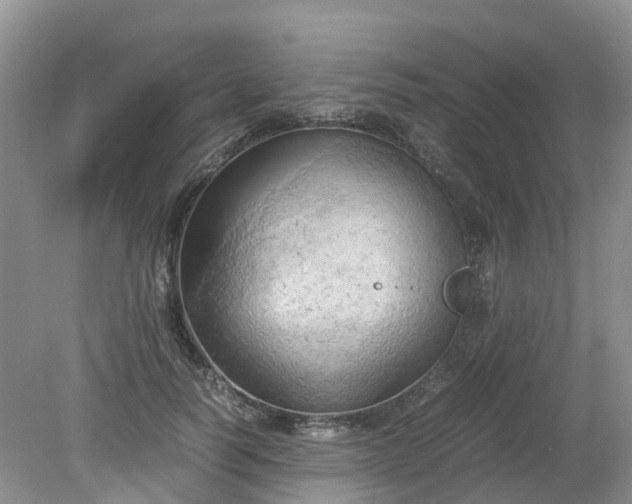 X0000079340746200612011933