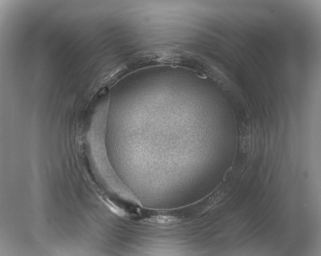 X0000079340748200612011933