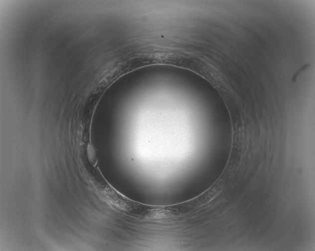 X0000079340750200612011933