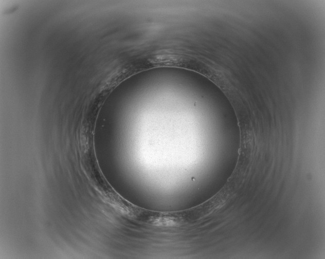 X0000079340751200612011933