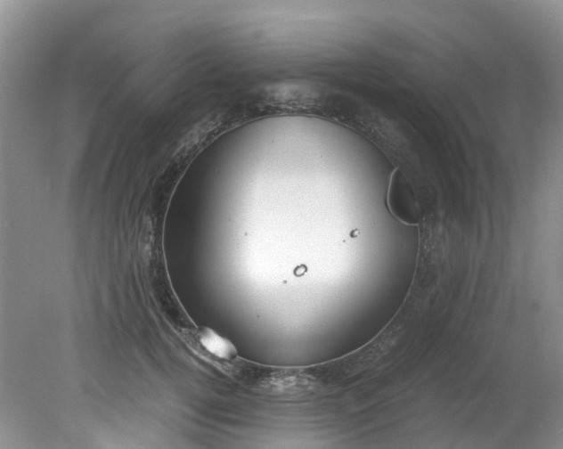 X0000079340752200612011933