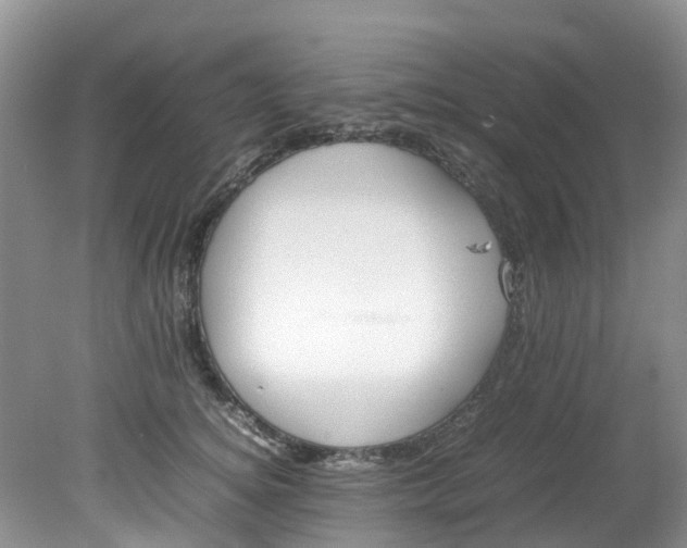 X0000079340756200612011933