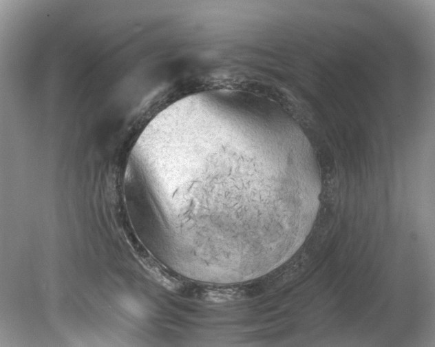 X0000079340757200612011933