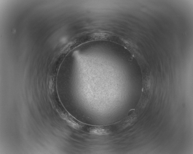 X0000079340759200612011933