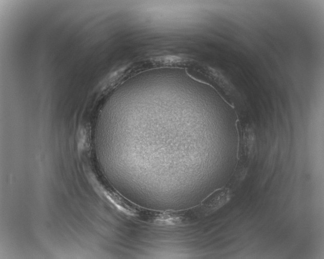 X0000079340760200612011933