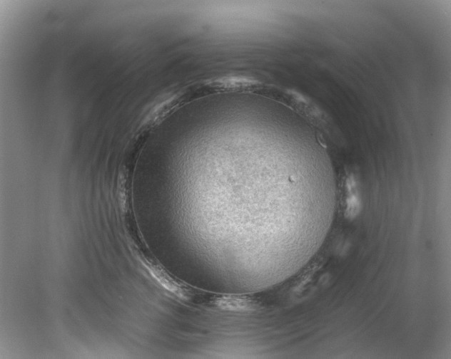 X0000079340762200612011934