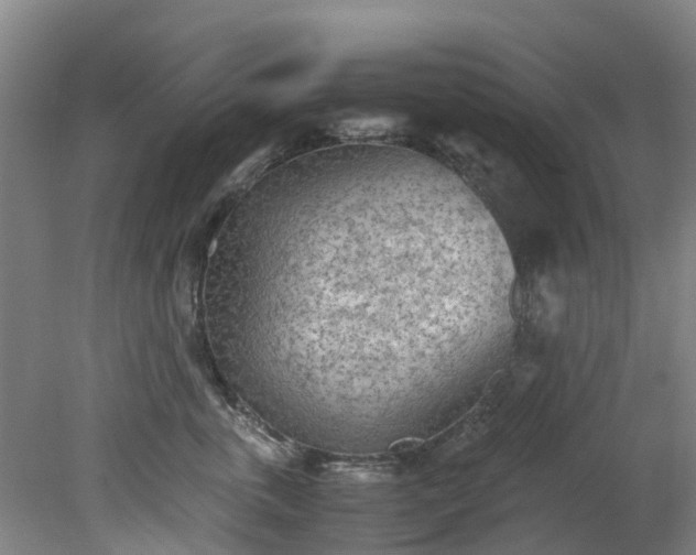 X0000079340763200612011934