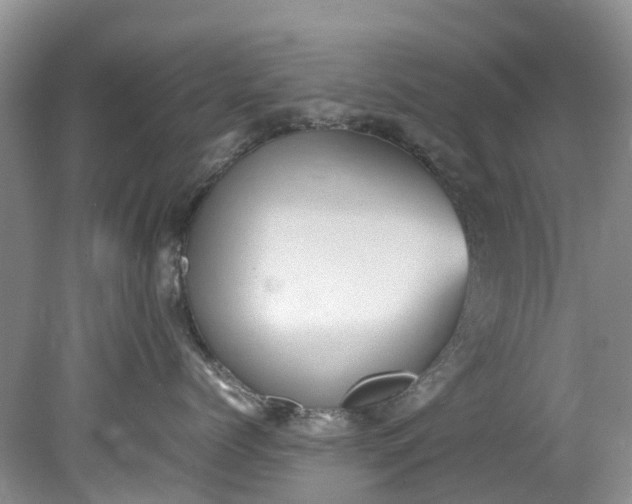 X0000079340768200612011934