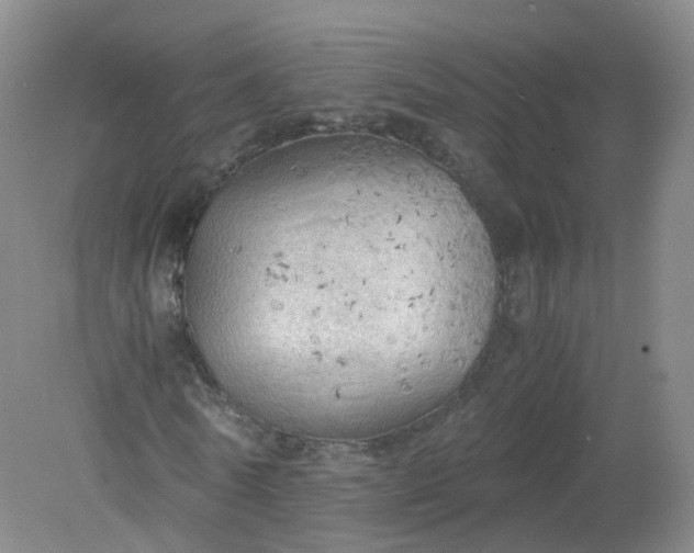 X0000079340770200612011933