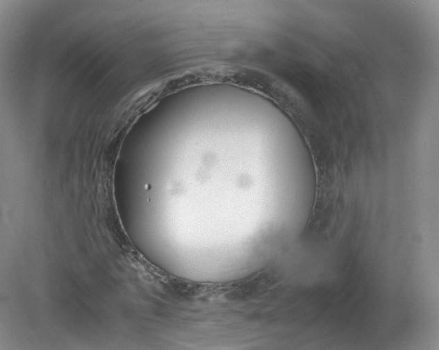 X0000079340773200612011933