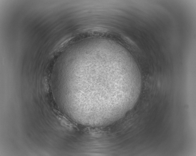 X0000079340774200612011933