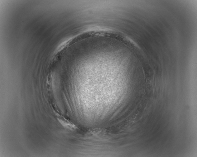 X0000079340775200612011933