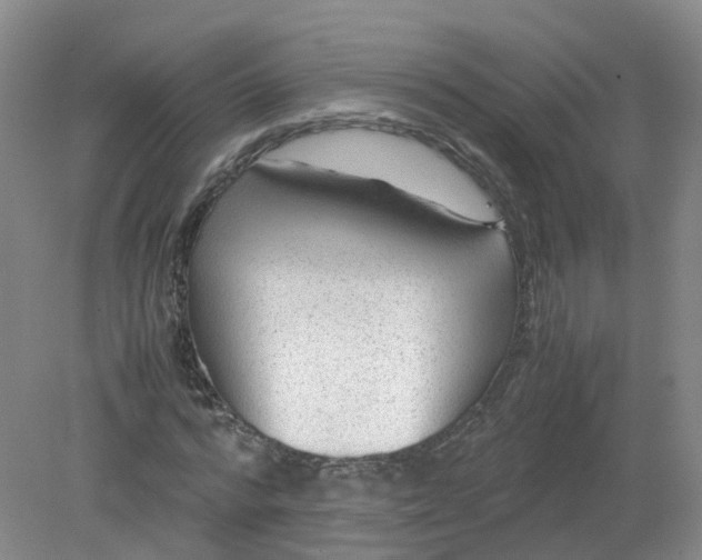 X0000079340776200612011933