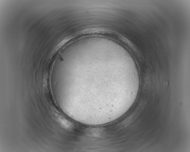 X0000079340778200612011933