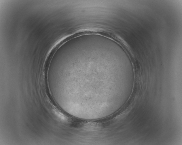 X0000079340779200612011933