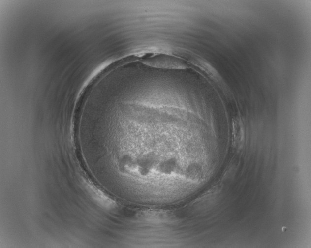 X0000079340780200612011933