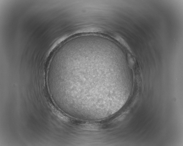 X0000079340781200612011933