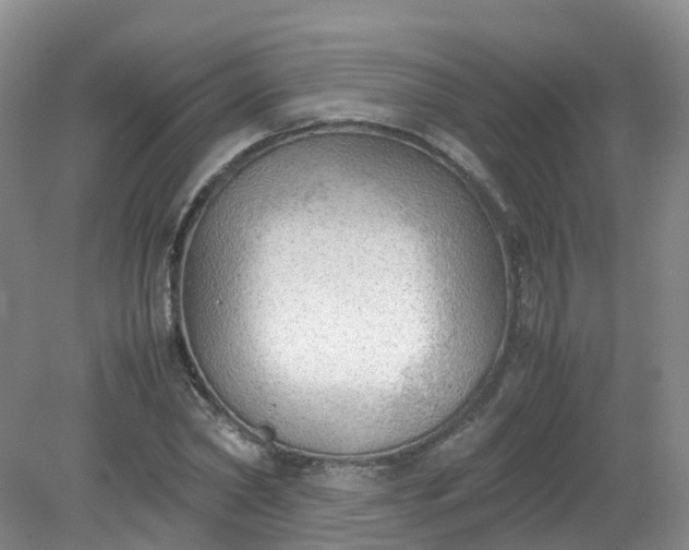 X0000079340782200612011933