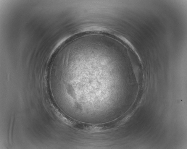 X0000079340783200612011933