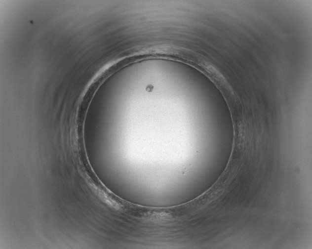 X0000079340784200612011933