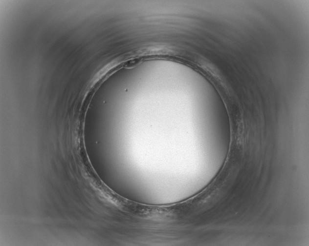 X0000079340786200612011933