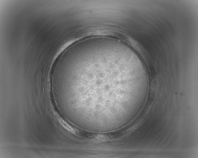 X0000079340787200612011933