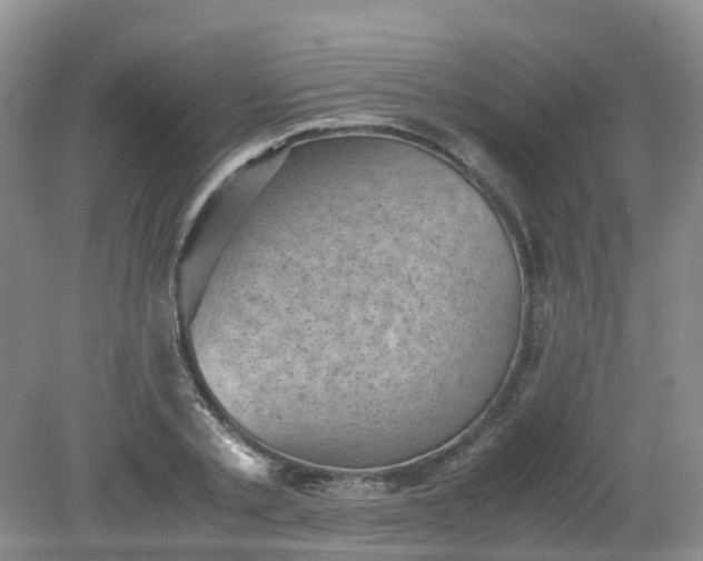 X0000079340789200612011932