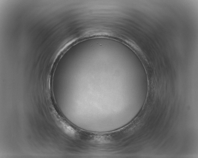 X0000079340790200612011932