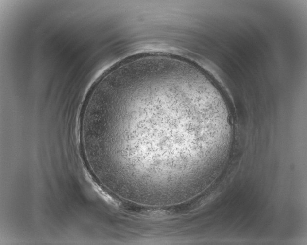 X0000079340791200612011932