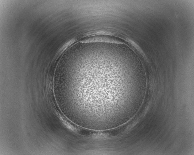 X0000079340793200612011932