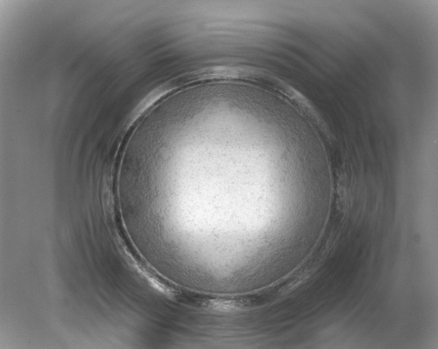 X0000079340794200612011932