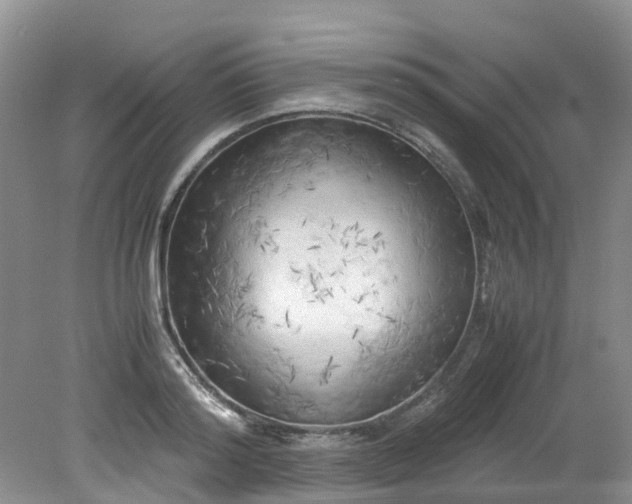 X0000079340796200612011932