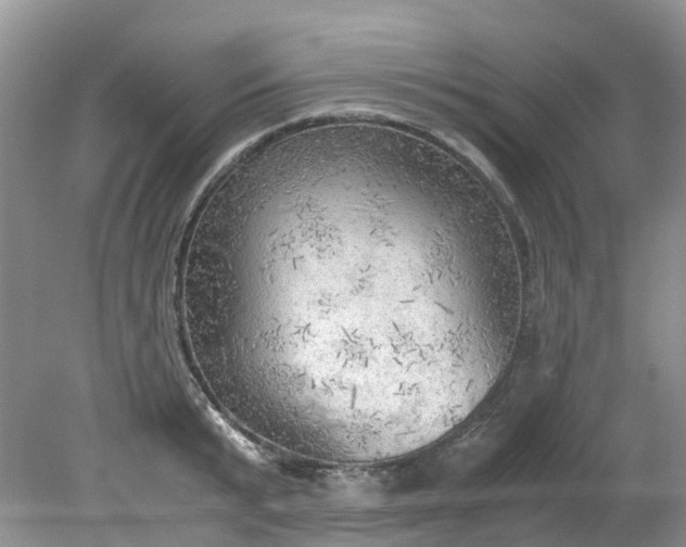 X0000079340799200612011932