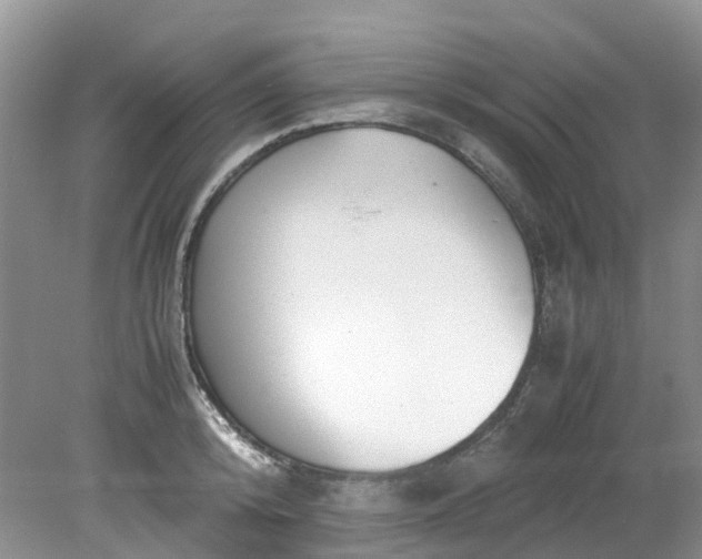 X0000079340800200612011932