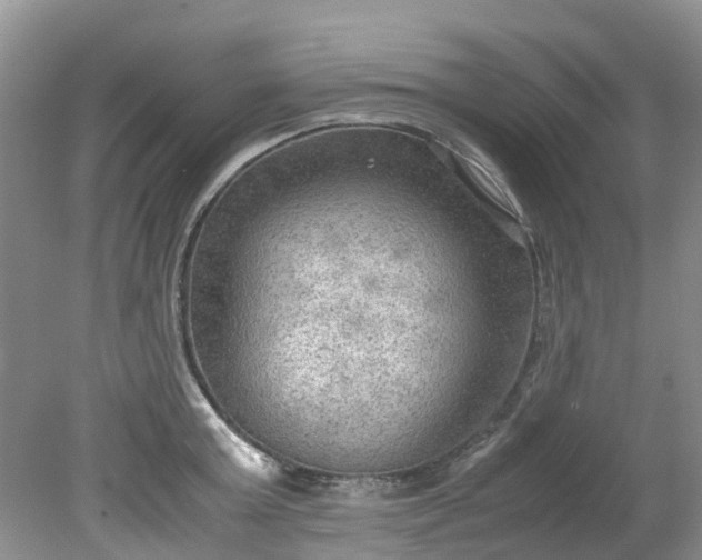 X0000079340803200612011932