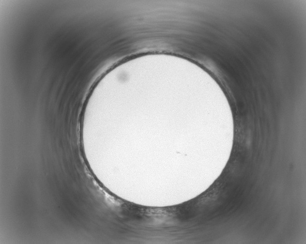 X0000079340807200612011932