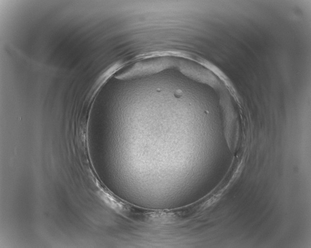 X0000079340809200612011932