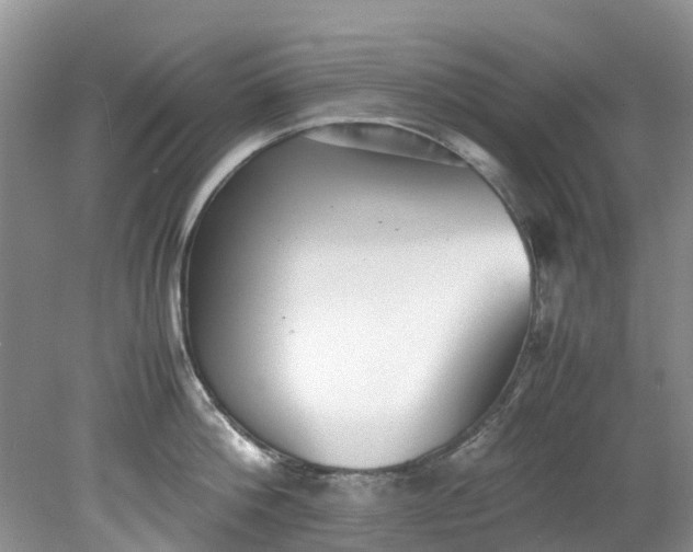 X0000079340812200612011932